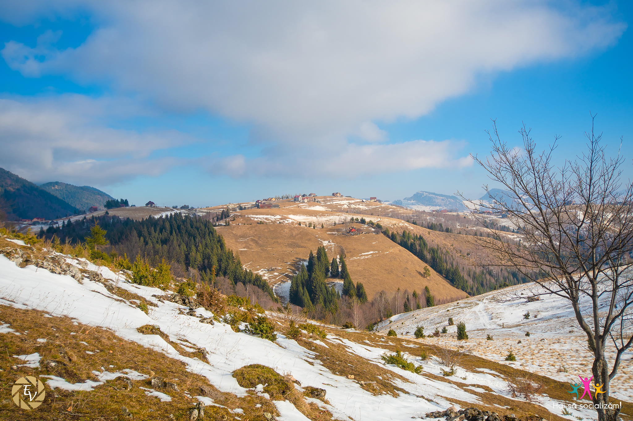 În căutare de flori de munte la poalele Pietrei Craiului