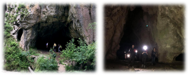 Pesterile neiluminate din timpul traseului